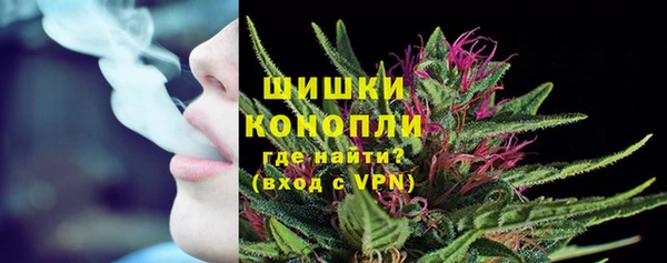 спайс Анива